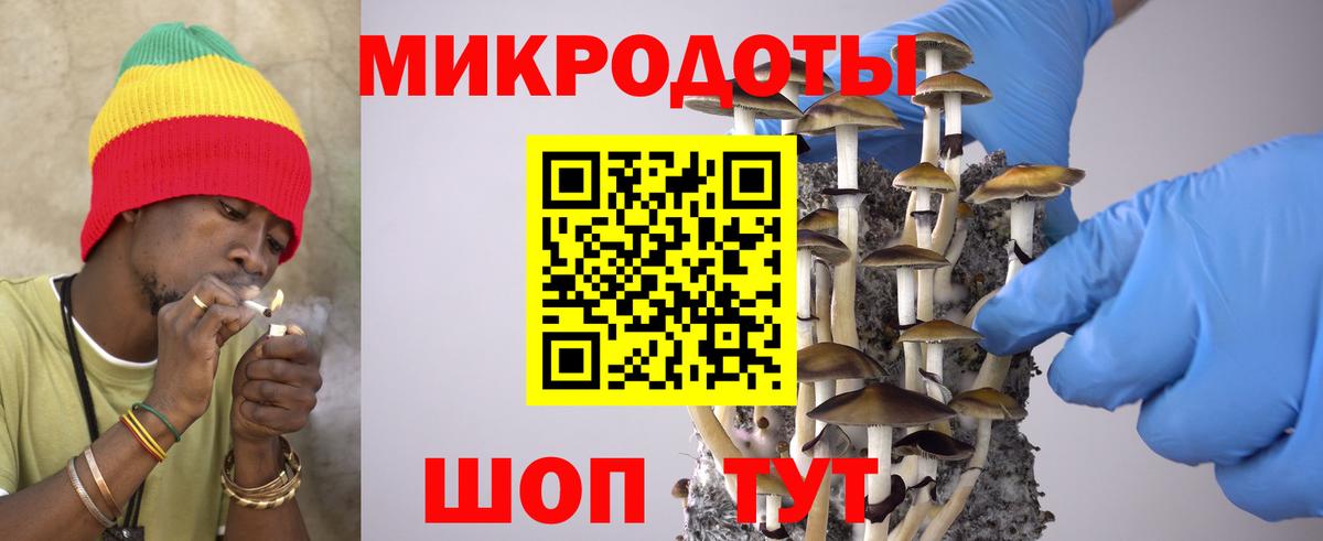 Псилоцибиновые грибы GOLDEN TEACHER  Псилоцибиновые грибы Psilocybine cubensis  Ипатово  Вход с VPN 